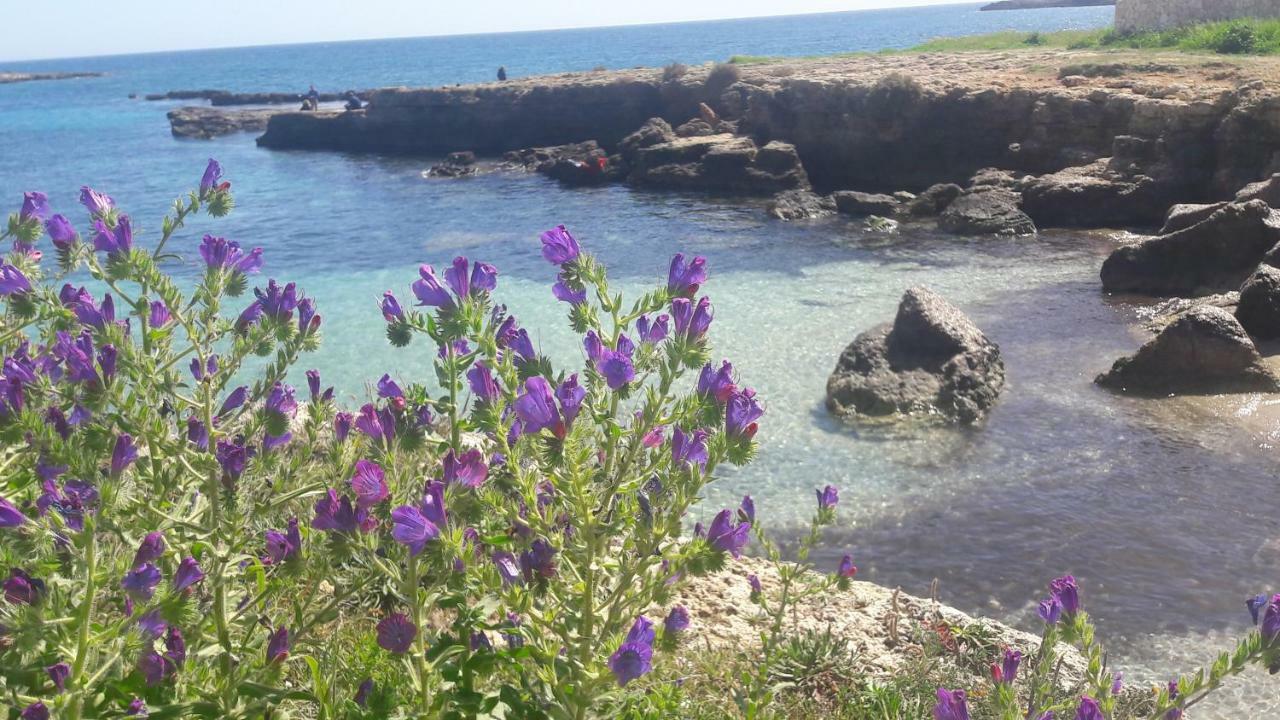 "Suliscenti" Dimora Siciliana B&B Avola Exterior foto